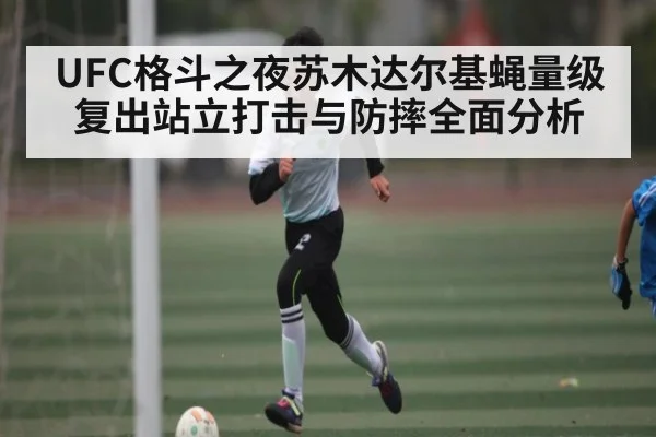 UFC格斗之夜苏木达尔基蝇量级复出站立打击与防摔全面分析